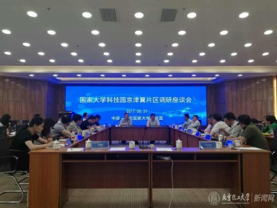 大學科技園風險投資項目深度解析，機遇與并行