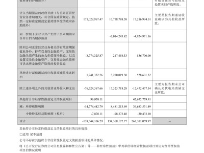 深度解析愛康科技財(cái)務(wù)風(fēng)險(xiǎn)報(bào)告表，揭示企業(yè)穩(wěn)健發(fā)展背后的挑戰(zhàn)與機(jī)遇
