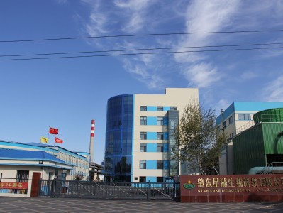 星湖科技風(fēng)險(xiǎn)提示，投資者需警惕潛在風(fēng)險(xiǎn)，理性投資